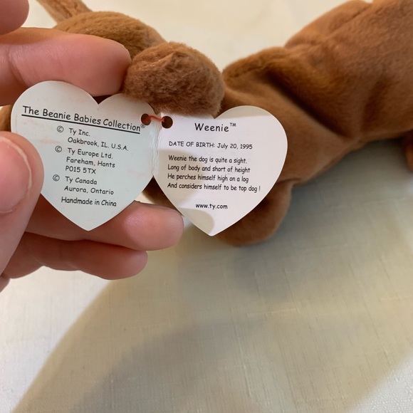 RARE! WEENIE THE DOG BEANIE BABIES - Picture 4 of 8